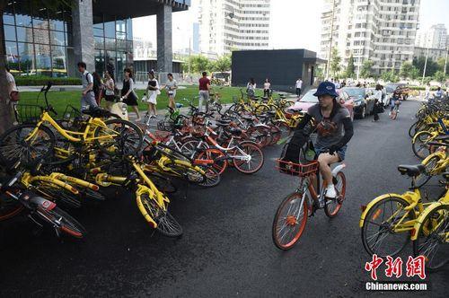 8月3日，北京街头的共享单车。<a target='_blank' href='http://www.chinanews.com/'>中新社</a>记者 侯宇 摄